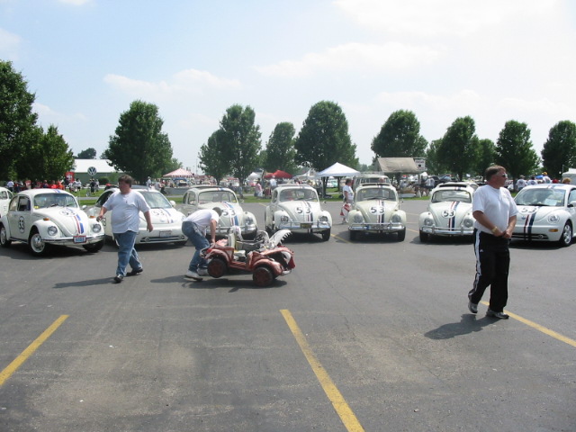 Copy of IMG_8618.JPG